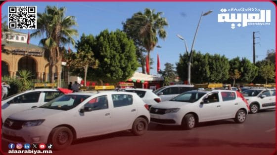 عندما “بلغ السيل الزبى”: معاناة ساكنة تيفلت مع سائقي الطاكسي الصغير تتفاقم ومطالب بالتدخل العاجل والحازم