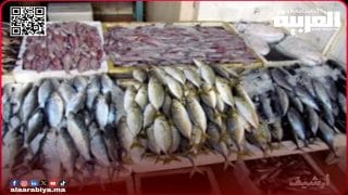 الأمن الوطني بمدينة تيفلت يوقف سيارة محملة بالأسماك بدون ترخيص قانوني كانت موجهة إلى بطون التيفلتيين