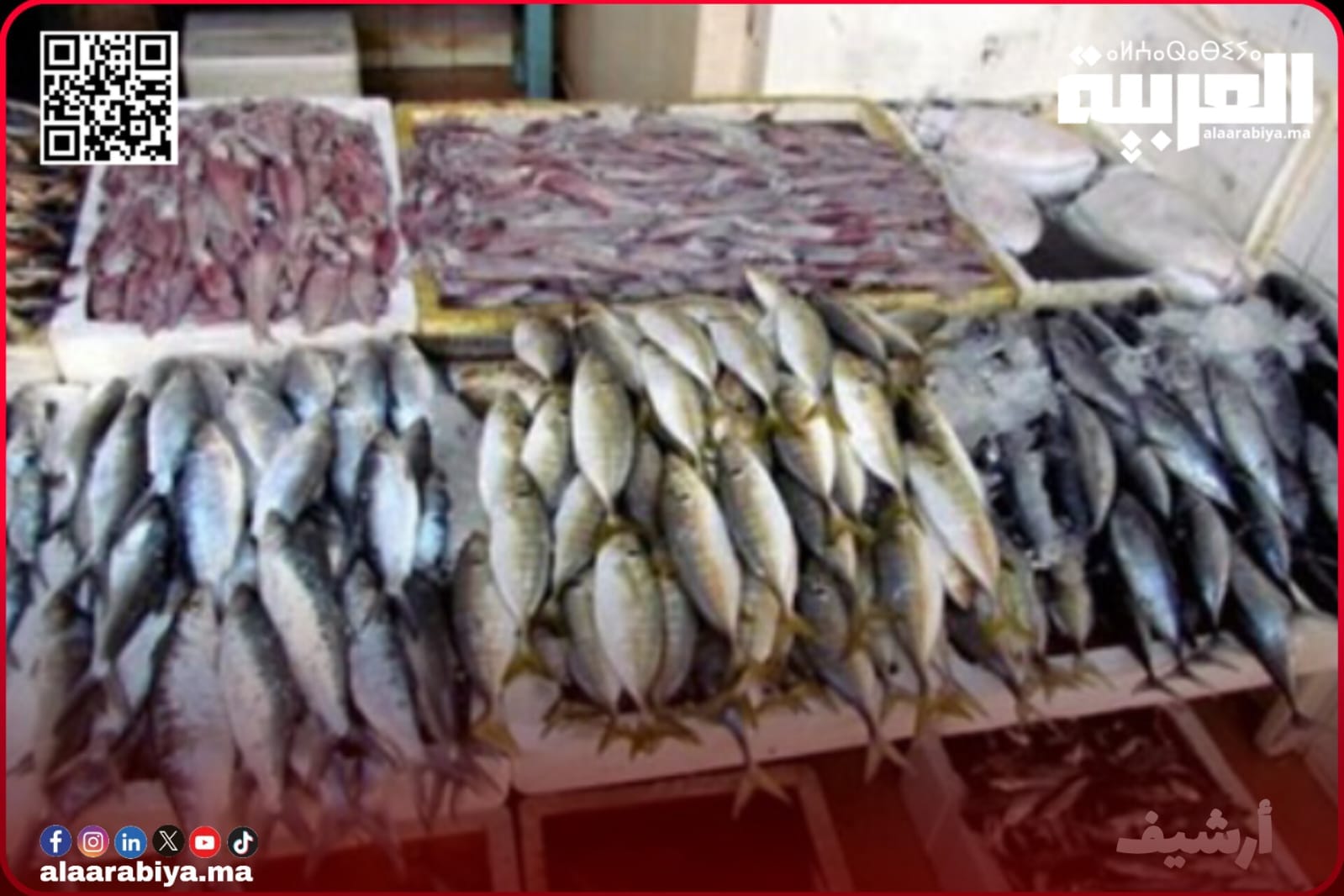 الأمن الوطني بمدينة تيفلت يوقف سيارة محملة بالأسماك بدون ترخيص قانوني كانت موجهة إلى بطون التيفلتيين