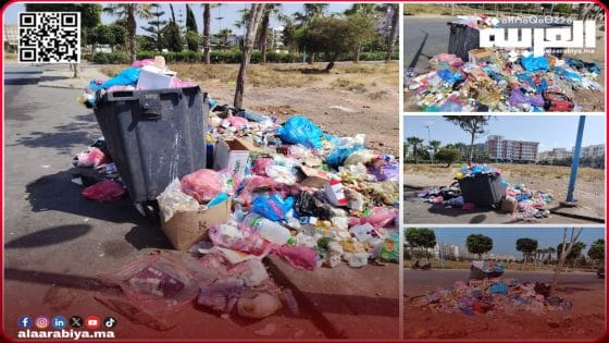 أسطول النظافة بالجديدة تبخّر والنفايات تفرض واقعها!