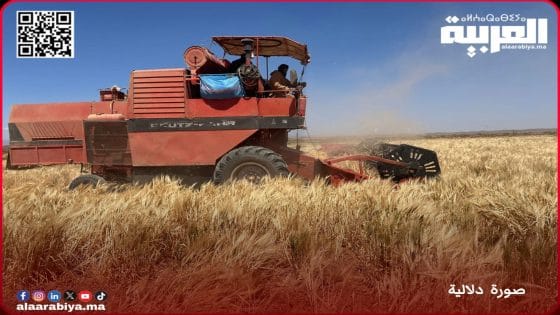 جرار حصاد يحصد روح رجل بجماعة سيدي يحيى آيت واحي تيفلت