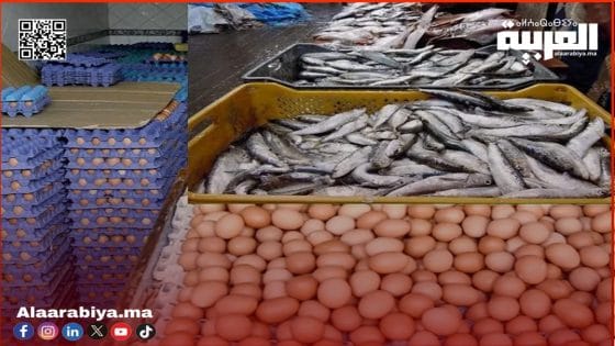 غلاء البيض والسردين يجر وزير الفلاحة وكاتبة الدولة في الصيد البحري للمساءلة البرلمانية