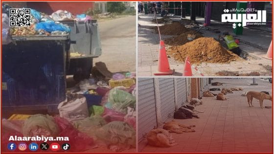 القنيطرة بعد موسم العطلة… زوار يغادرون بـ”خيبات أمل” أكثر من الذكريات