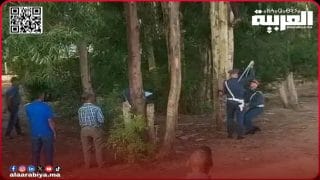 العثور على جثة شاب معلقة داخل غابة بدوار أولاد عدو يستنفر الأجهزة الأمنية