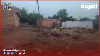 ساكنة عين السبع تطالب بإدراج منطقتهم ضمن برنامج إعادة هيكلة “المخاليف عين السبع” بالقنيطرة