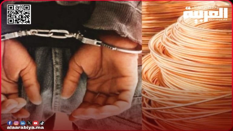 10 سنوات سجنا لأفراد عصابة سرقة الأسلاك الكهربائية الخاصة بالإنارة العمومية بجماعة الصفاصيف بإقليم الخميسات