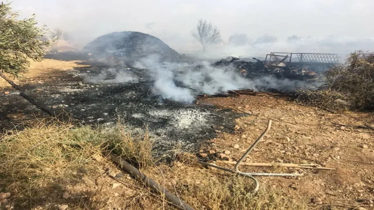 عصابة تحرق حظيرة مواش بالكامل في “أمزفرون” وتتسبب في نفوق أكثر من 50 رأسا من الأغنام