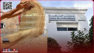 اختلالات خطيرة تسجل في سوق المطاحن بالمغرب