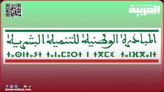 المفتشية العامة لوزارة الداخلية تفتحص المشاريع الممولة من طرف المبادرة الوطنية للتنمية البشرية