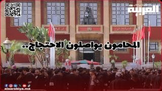 المحامون يقررون التصعيد.. استمرار التوقف الشامل عن العمل ووقفة وطنية مرتقبة