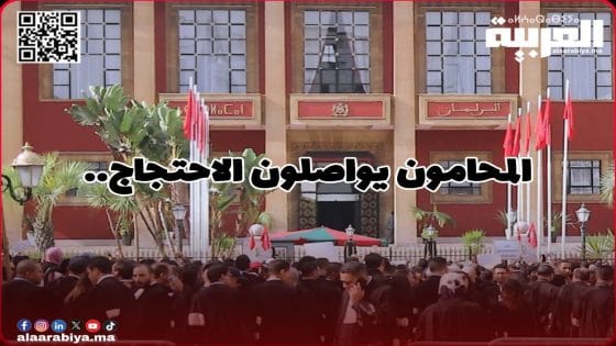 المحامون يقررون التصعيد.. استمرار التوقف الشامل عن العمل ووقفة وطنية مرتقبة 