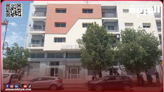 المحافظ الجديد للمحافظة العقارية بمدينة تيفلت “يشدّد الخناق” على سماسرة العقارات والأراضي