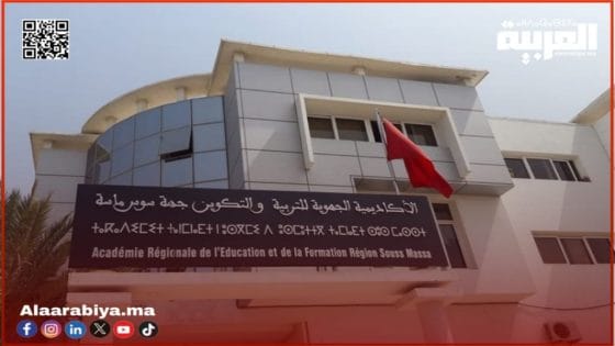 مؤسسات الريادة