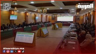 اللجنة الإقليمية للتنمية البشرية