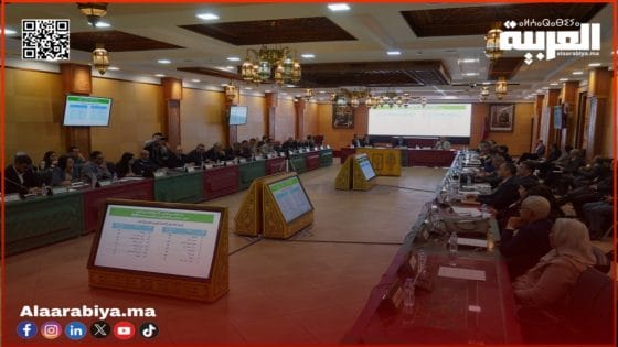 اللجنة الإقليمية للتنمية البشرية