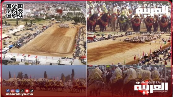 النتائج المحصلة والأجواء التي مرت فيها المباراة الجهوية للتبوريدة بمدينة تيفلت