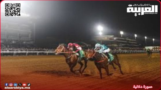 رئيس جمعية سباق الخيل زمور بالخميسات يخرج عن صمته ويرد بقوة على الاتهامات