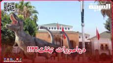 هل تعلم وزارة الداخلية بأن هناك بمدينة بتيفلت عرشان أصبح قاتل ومكسر “الديناصورات”؟!