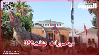 هل تعلم وزارة الداخلية بأن هناك بمدينة بتيفلت عرشان أصبح قاتل ومكسر “الديناصورات”؟!