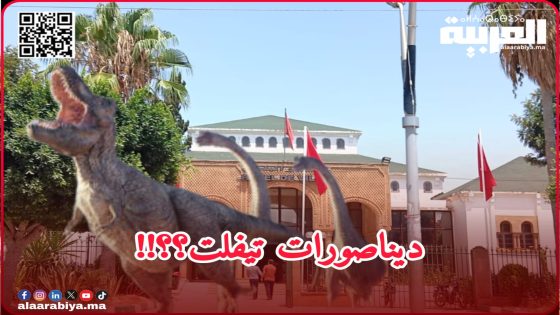هل تعلم وزارة الداخلية بأن هناك بمدينة بتيفلت عرشان أصبح قاتل ومكسر “الديناصورات”؟!