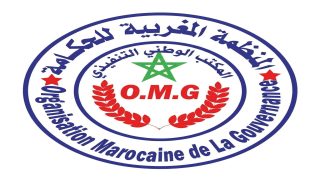 ناقوس خطر مجتمعي.. تصاعد ظاهرة المشردين والمختلين عقليا يفرض تدخلا عاجلا وحلولا مؤسسية
