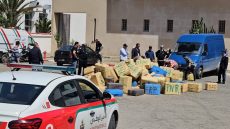 إحباط تهريب 238 كيلوغراما من الشيرا بميناء طنجة المتوسط وتوقيف سائق بلجيكي من أصول مغربية