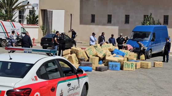 إحباط تهريب 238 كيلوغراما من الشيرا بميناء طنجة المتوسط وتوقيف سائق بلجيكي من أصول مغربية