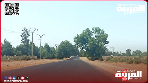 مستعملو طريق تيفلت سيدي علال البحراوي يطالبون بإصلاح النقط السوداء التي تشكل خطورة على سلامتهم وتضر مركباتهم